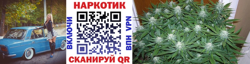 Наркотические вещества Вяземский Гашиш 