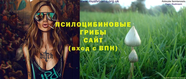 крисы Белоозёрский