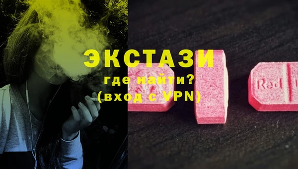 стаф Белокуриха